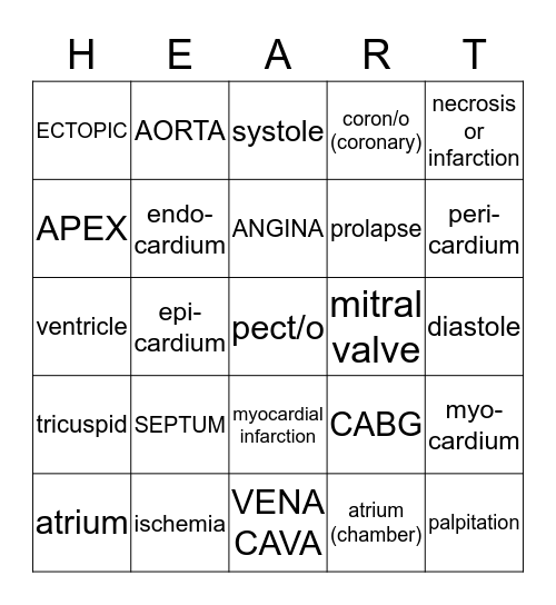Medical Terminology Cardiovascular System 2 Bingo Card
