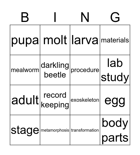Mealworms Bingo Card