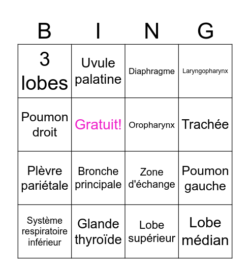 Le système respiratoire Bingo Card