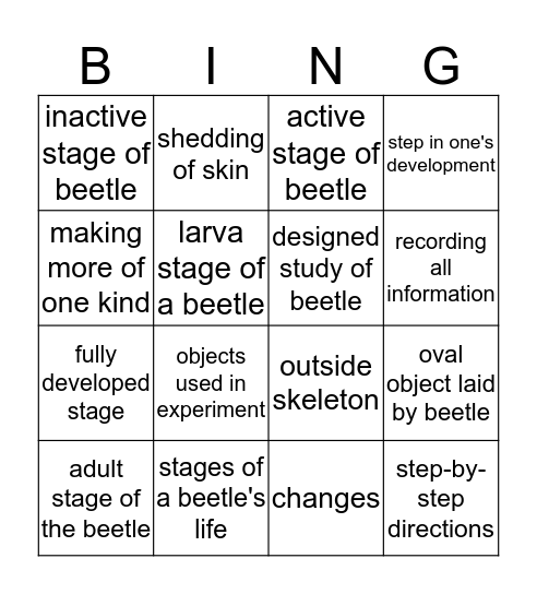 Mealworms - Definitions Bingo Card