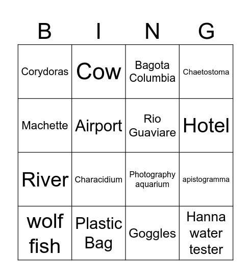 Into the Amazon Bingo Card