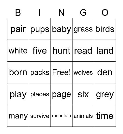 December 5 Bingo Card