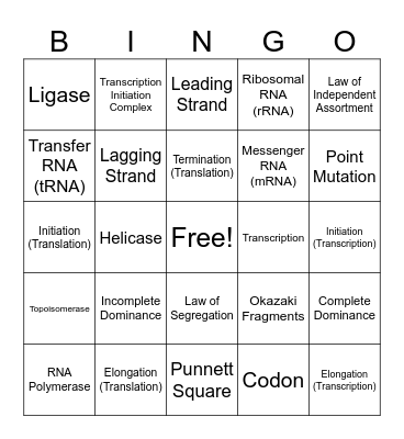 Chapters 11-14 Bingo Card