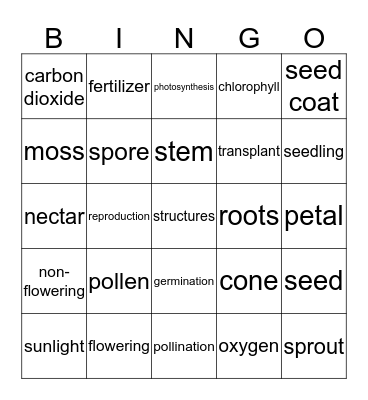 Plants - Vocabulary Bingo Card