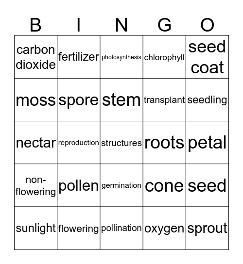 Plants - Vocabulary Bingo Card