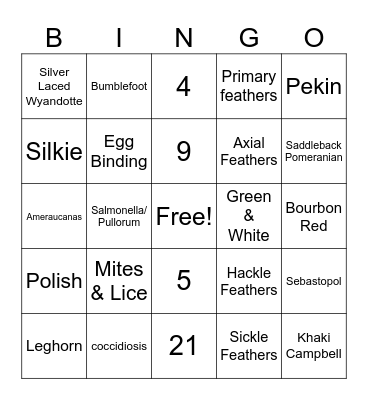 4H Chicken Bingo Card