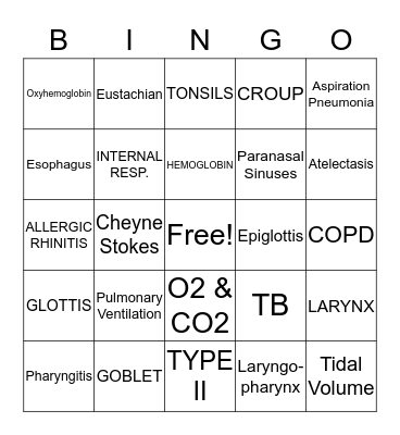 THE RESPIRATORY SYSTEM Bingo Card