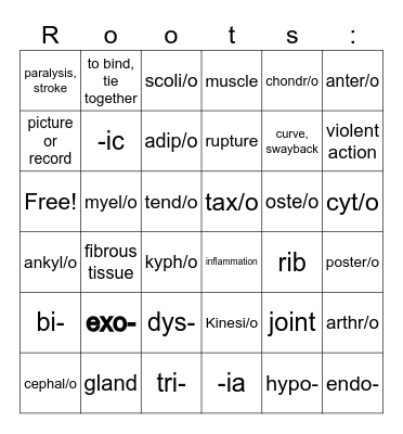 Medical Terminology Bingo Card