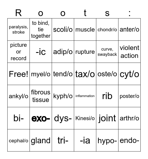 Medical Terminology Bingo Card