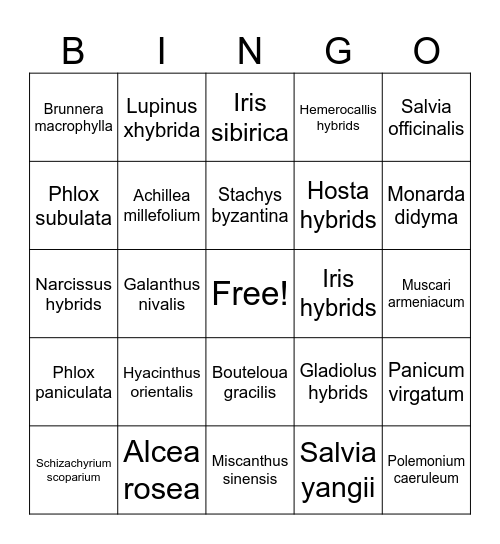 Herbaceous Plant Bingo Card