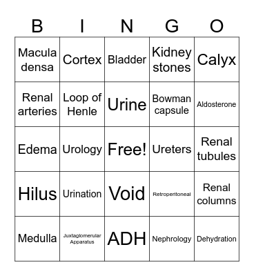 Urinary System Bingo Card