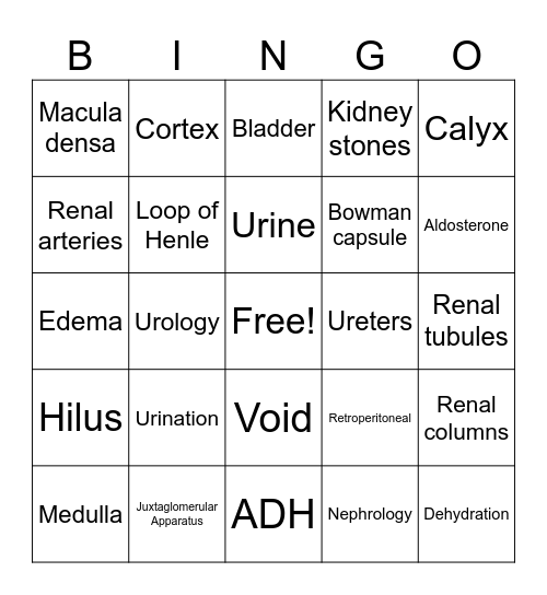 Urinary System Bingo Card