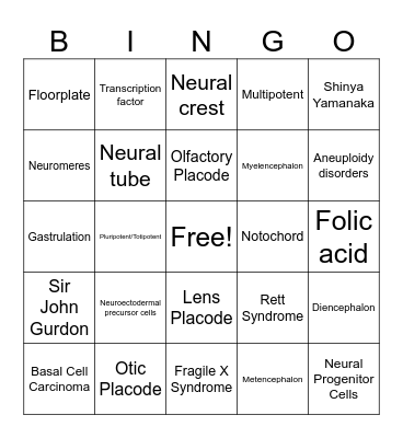 Neural Development Bingo Card