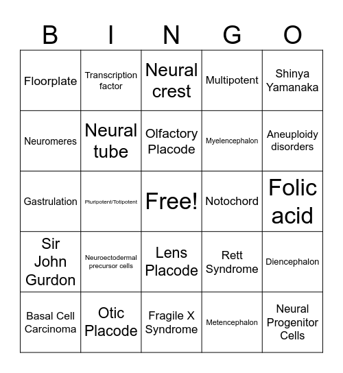 Neural Development Bingo Card