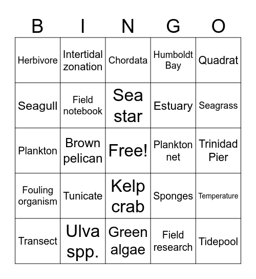 Marine Biology Bingo Card