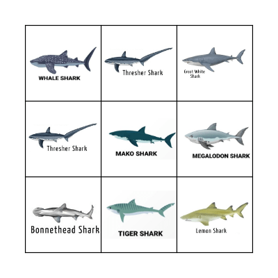 Shark Bingo Card