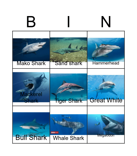 Shark Week Bingo Card