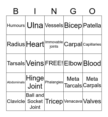 Health  Bingo Card