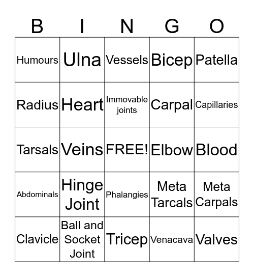 Health  Bingo Card