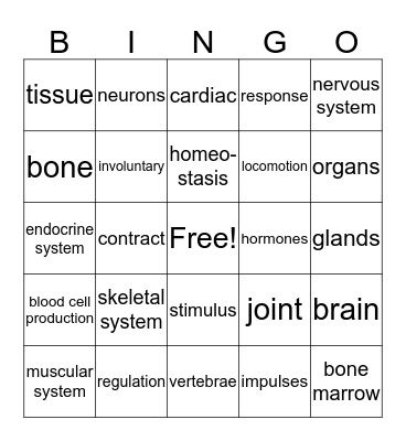 Body Systems Bingo Card