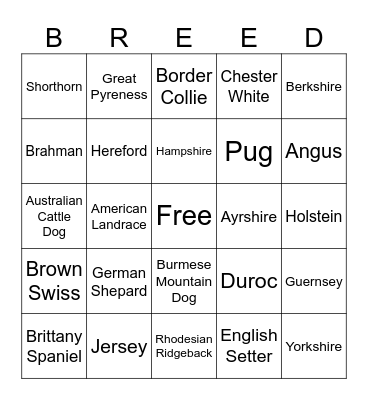 VET CDE Bingo Card