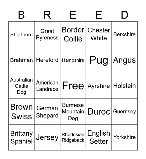 VET CDE Bingo Card