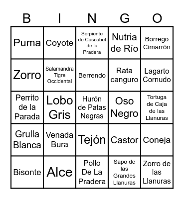 Los Animales de La Parada Bingo Card