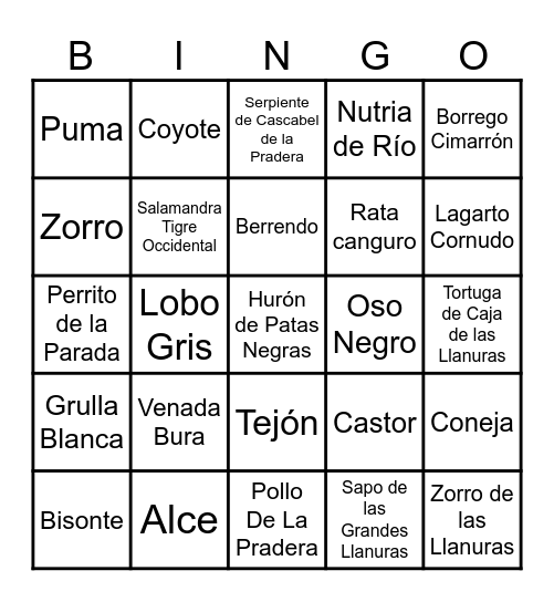 Los Animales de La Parada Bingo Card