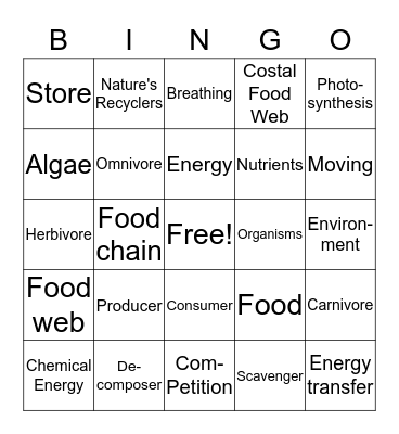 Roles in Energy Transfer  Bingo Card