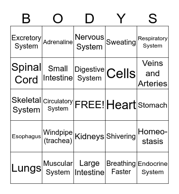 Body Systems Bingo Card