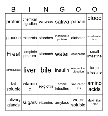 Digestive System Bingo Card