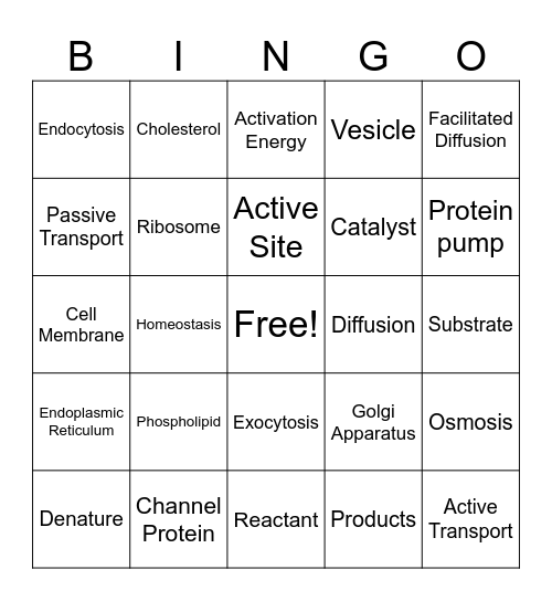 Homeostasis Bingo Card