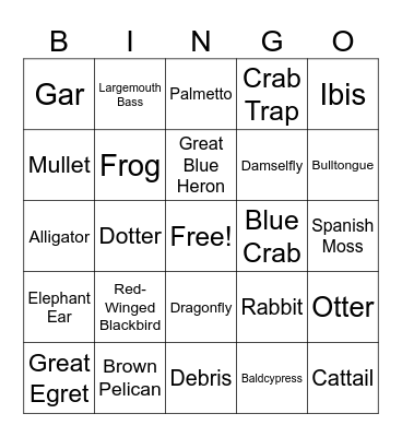 Turtle Cove BINGO Card