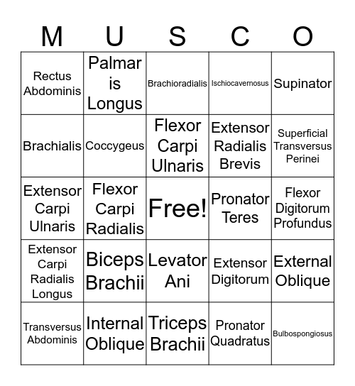 Muscle List #2 Bingo Card