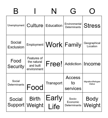 Determinants of Health Bingo Card