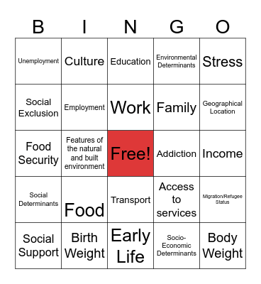Determinants of Health Bingo Card
