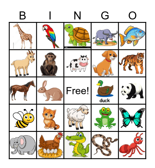 animals Bingo Card