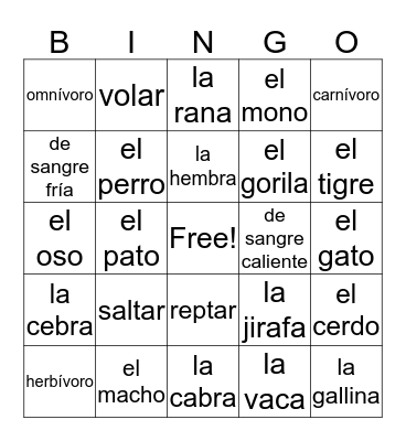 Spanish bingo Card