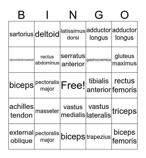 Muscles Bingo Card