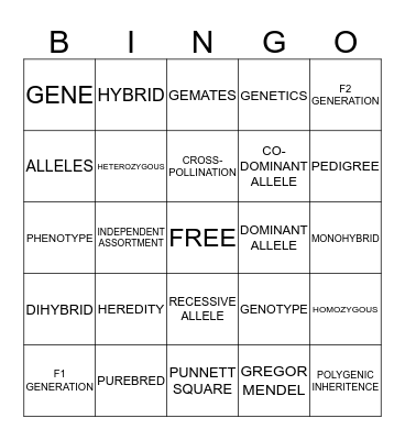 VOCABULARY BINGO Card