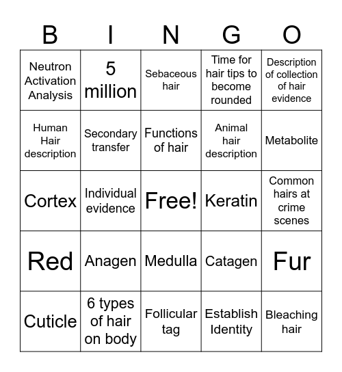 Hair Bingo Card