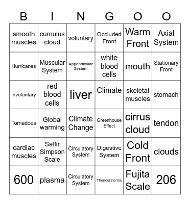 Exam Review Bingo Card
