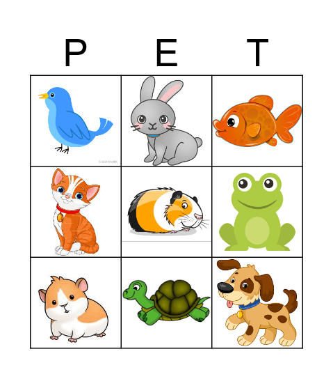 PETS Bingo Card