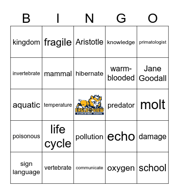 3rd Grade Bingo Card