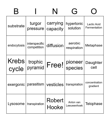 Honors Biology Bingo Card