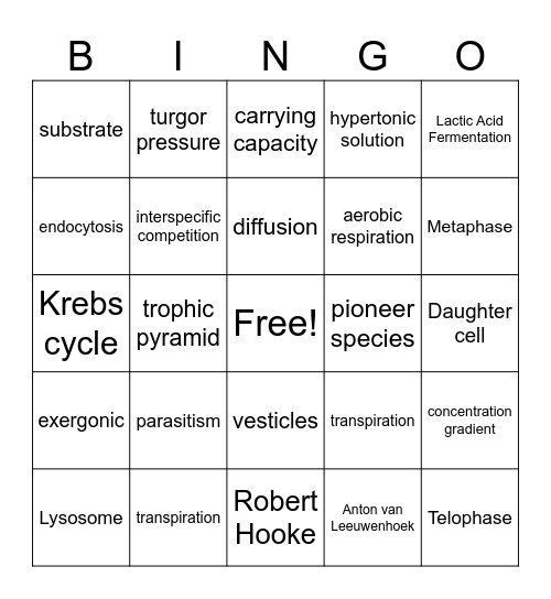 Honors Biology Bingo Card