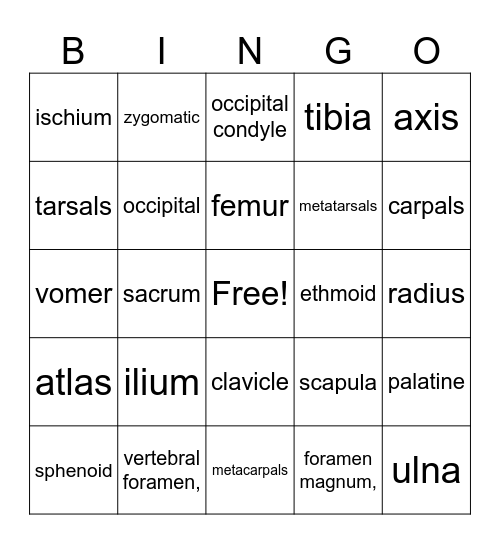 Skeletal System Bingo Card
