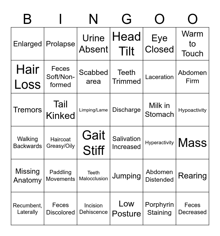 Observation Bingo Card