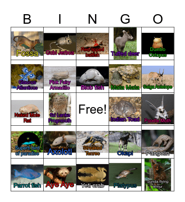 Unusual Animal Bingo Card