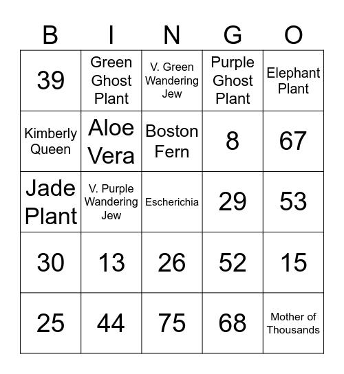 Number Bingo 1-75 Bingo Card